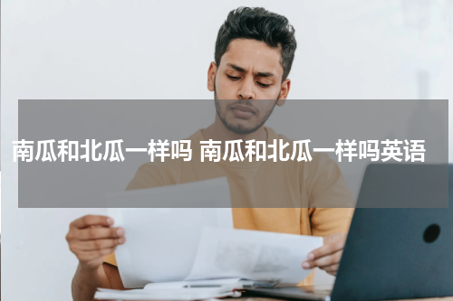 南瓜和北瓜一样吗 南瓜和北瓜一样吗英语