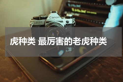 虎种类 最厉害的老虎种类