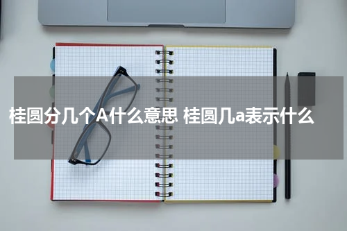 桂圆分几个A什么意思 桂圆几a表示什么