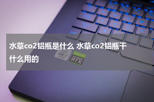 水草co2铝瓶是什么 水草co2铝瓶干什么用的