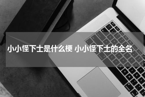 小小怪下士是什么梗 小小怪下士的全名