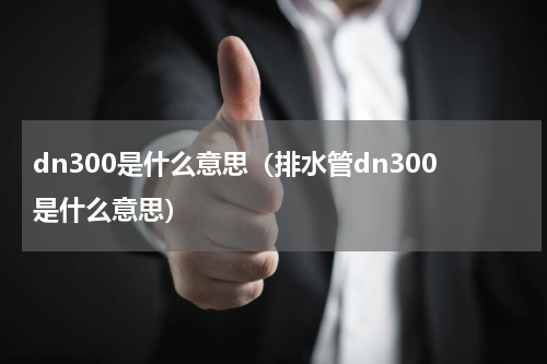 dn300是什么意思（排水管dn300是什么意思）