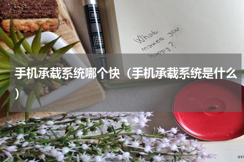 手机承载系统哪个快（手机承载系统是什么）
