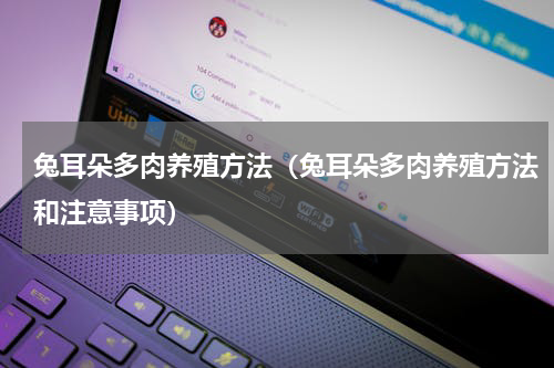 兔耳朵多肉养殖方法（兔耳朵多肉养殖方法和注意事项）