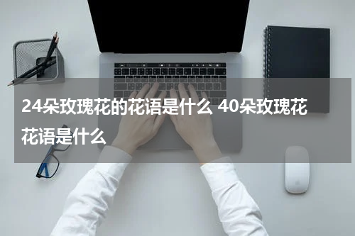 24朵玫瑰花的花语是什么 40朵玫瑰花花语是什么