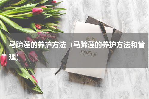 马蹄莲的养护方法（马蹄莲的养护方法和管理）