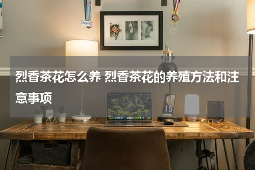 烈香茶花怎么养 烈香茶花的养殖方法和注意事项