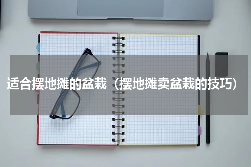 适合摆地摊的盆栽（摆地摊卖盆栽的技巧）