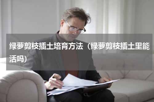 绿萝剪枝插土培育方法（绿萝剪枝插土里能活吗）