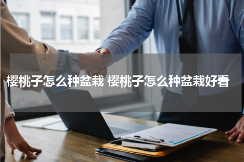 樱桃子怎么种盆栽 樱桃子怎么种盆栽好看