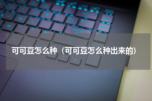 可可豆怎么种（可可豆怎么种出来的）