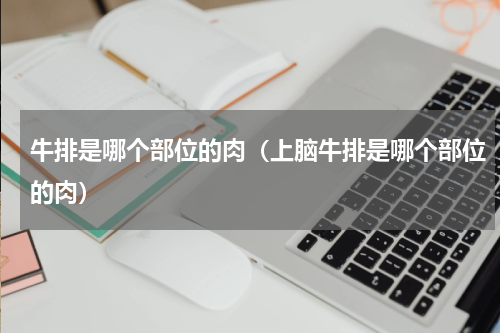 牛排是哪个部位的肉（上脑牛排是哪个部位的肉）