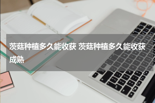 茨菇种植多久能收获 茨菇种植多久能收获成熟