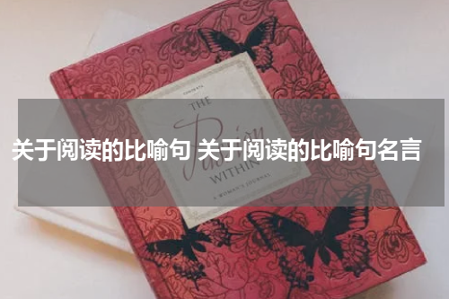 关于阅读的比喻句 关于阅读的比喻句名言