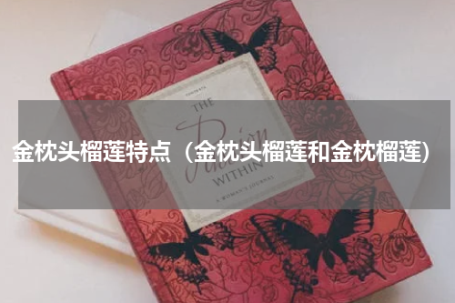 金枕头榴莲特点（金枕头榴莲和金枕榴莲）