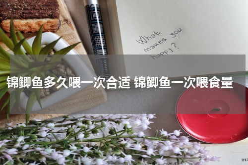 锦鲫鱼多久喂一次合适 锦鲫鱼一次喂食量