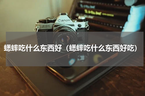 蟋蟀吃什么东西好（蟋蟀吃什么东西好吃）