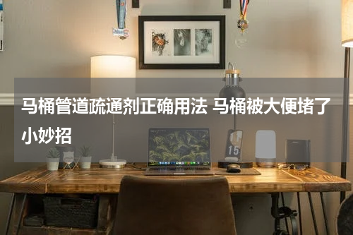 马桶管道疏通剂正确用法 马桶被大便堵了小妙招