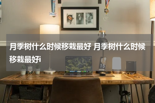 月季树什么时候移栽最好 月季树什么时候移栽最好i