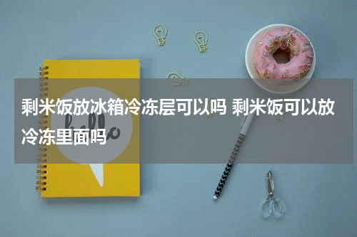 剩米饭放冰箱冷冻层可以吗 剩米饭可以放冷冻里面吗