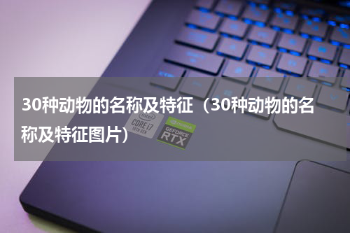 30种动物的名称及特征（30种动物的名称及特征图片）