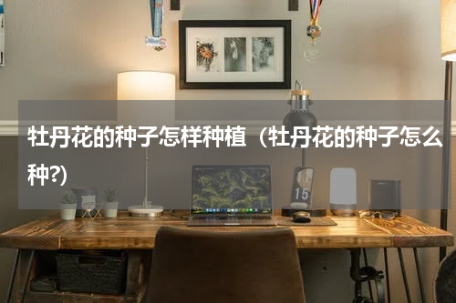 牡丹花的种子怎样种植（牡丹花的种子怎么种?）