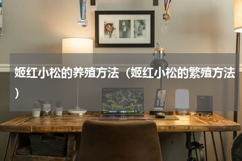 姬红小松的养殖方法（姬红小松的繁殖方法）
