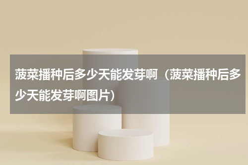 菠菜播种后多少天能发芽啊（菠菜播种后多少天能发芽啊图片）