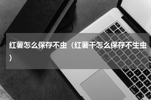 红薯怎么保存不虫（红薯干怎么保存不生虫）