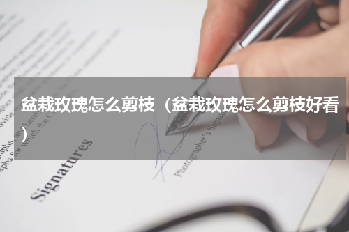 盆栽玫瑰怎么剪枝（盆栽玫瑰怎么剪枝好看）