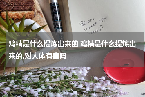 鸡精是什么提炼出来的 鸡精是什么提炼出来的,对人体有害吗