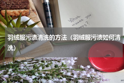 羽绒服污渍清洗的方法（羽绒服污渍如何清洗）