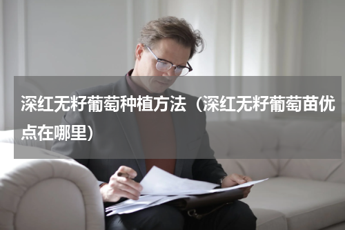 深红无籽葡萄种植方法（深红无籽葡萄苗优点在哪里）