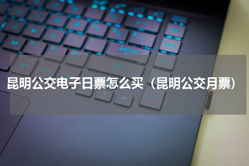 昆明公交电子日票怎么买（昆明公交月票）