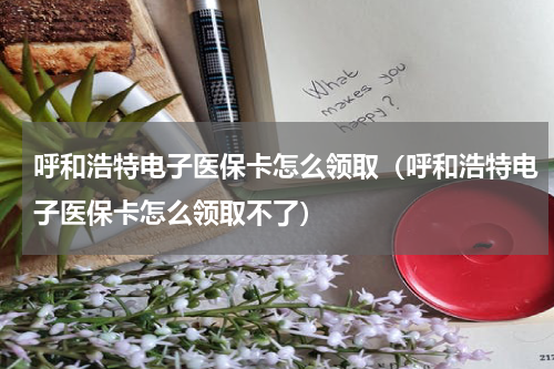 呼和浩特电子医保卡怎么领取（呼和浩特电子医保卡怎么领取不了）
