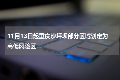 11月13日起重庆沙坪坝部分区域划定为高低风险区