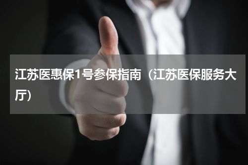 江苏医惠保1号参保指南（江苏医保服务大厅）