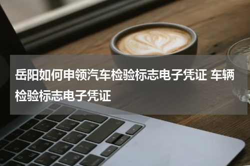 岳阳如何申领汽车检验标志电子凭证 车辆检验标志电子凭证