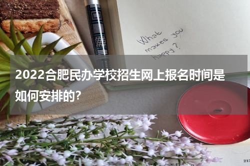 2022合肥民办学校招生网上报名时间是如何安排的？