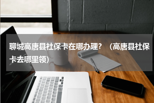 聊城高唐县社保卡在哪办理？（高唐县社保卡去哪里领）