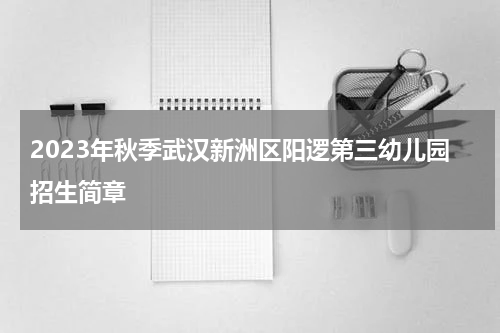 2023年秋季武汉新洲区阳逻第三幼儿园招生简章