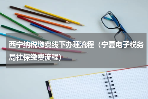 西宁纳税缴费线下办理流程（宁夏电子税务局社保缴费流程）
