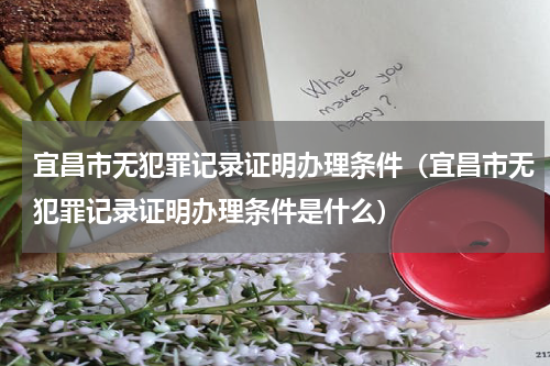 宜昌市无犯罪记录证明办理条件（宜昌市无犯罪记录证明办理条件是什么）