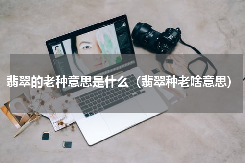 翡翠的老种意思是什么（翡翠种老啥意思）