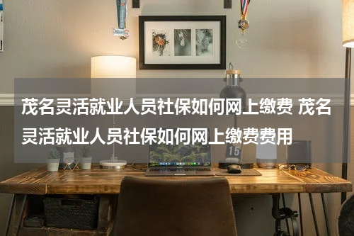 茂名灵活就业人员社保如何网上缴费 茂名灵活就业人员社保如何网上缴费费用