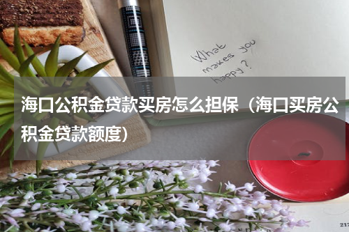 海口公积金贷款买房怎么担保（海口买房公积金贷款额度）