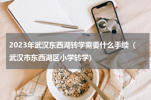 2023年武汉东西湖转学需要什么手续（武汉市东西湖区小学转学）
