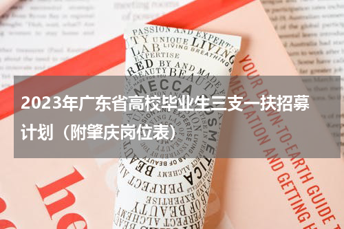 2023年广东省高校毕业生三支一扶招募计划（附肇庆岗位表）