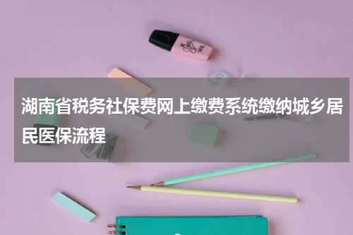 湖南省税务社保费网上缴费系统缴纳城乡居民医保流程