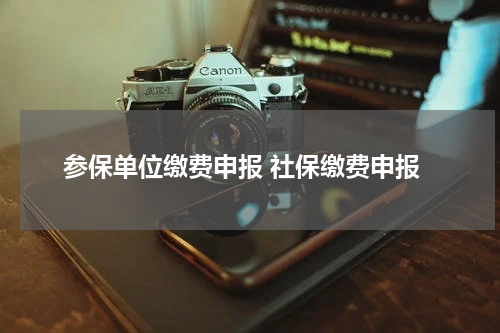 参保单位缴费申报 社保缴费申报